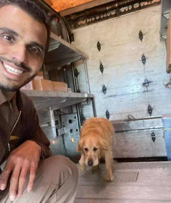 UPS driver smiling with golden retriever who hopped into delivery truck during route