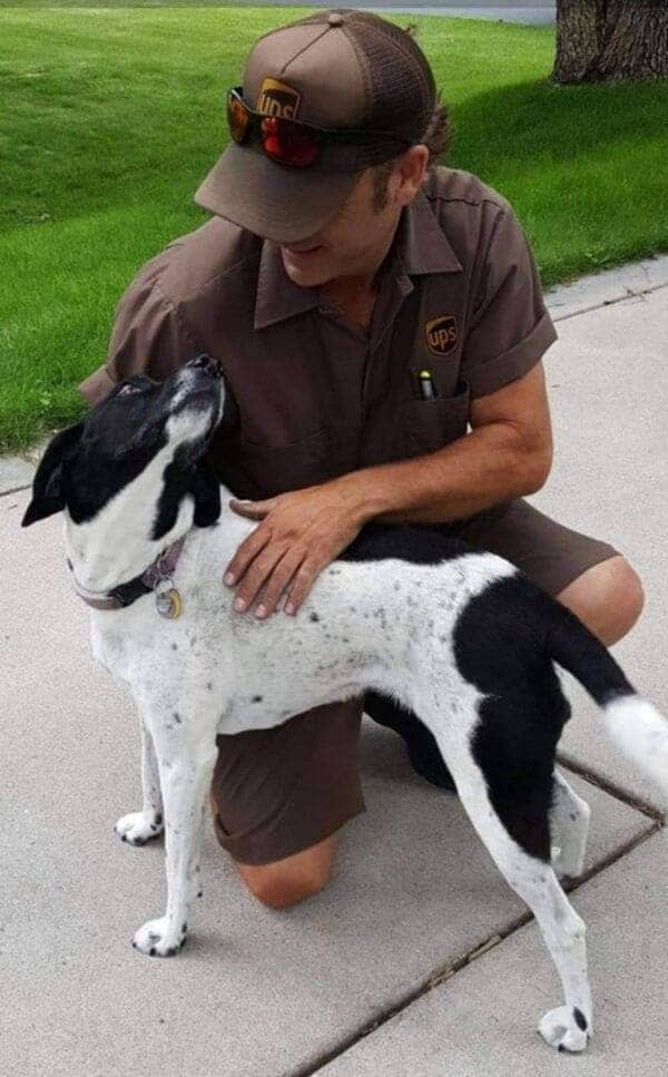 UPS driver kneels down to pet black and white dog on sidewalk during daytime route