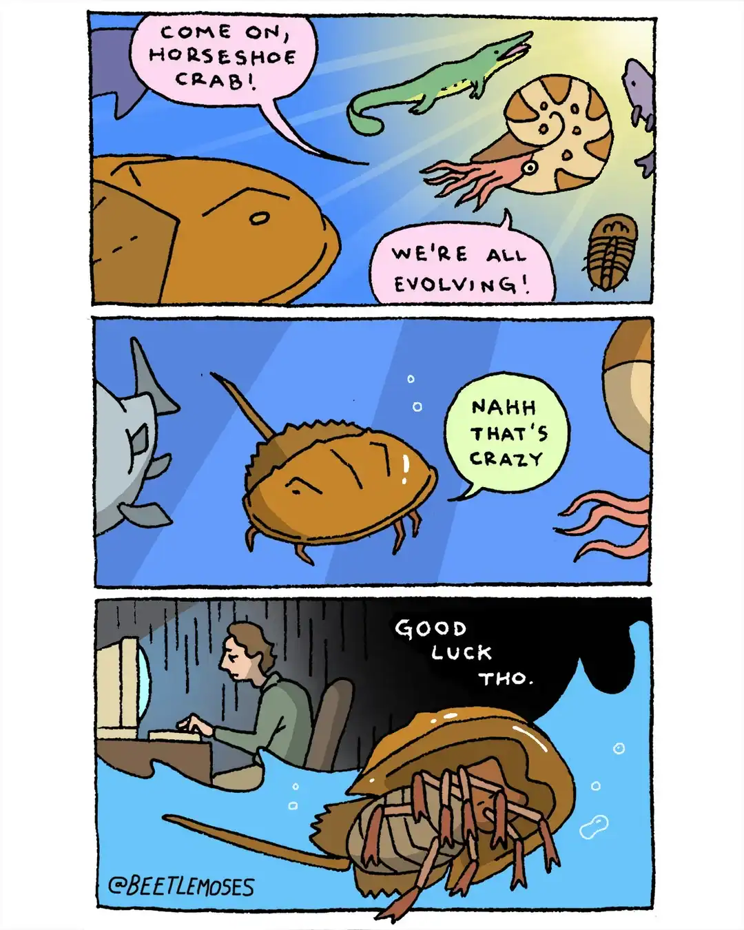 Beetle Moses webcomic showing the horseshoe crab refusing to evolve while everyone else does.