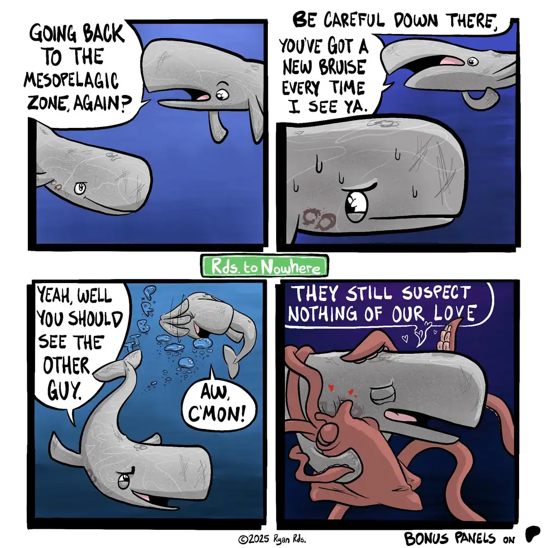 Rds to Nowhere webcomic about a whale hiding his secret giant squid romance from family.