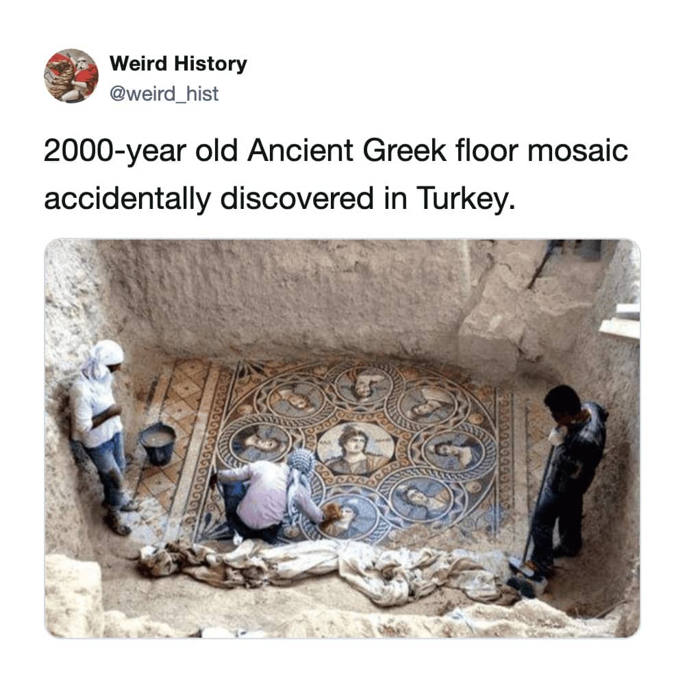 Archaeologists uncovering a 2000-year-old Ancient Greek circular floor mosaic with portrait medallions discovered in Turkey