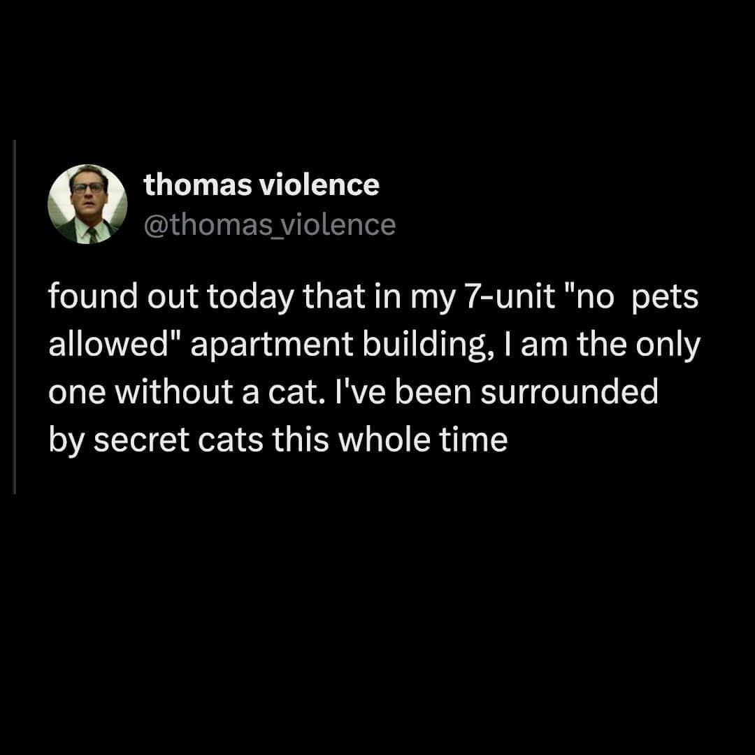Humorous post about a no-pets apartment building where every single tenant secretly owns a cat.