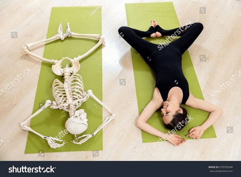 Bizarre weird stock photo of woman doing yoga pose alongside skeleton mirroring identical position