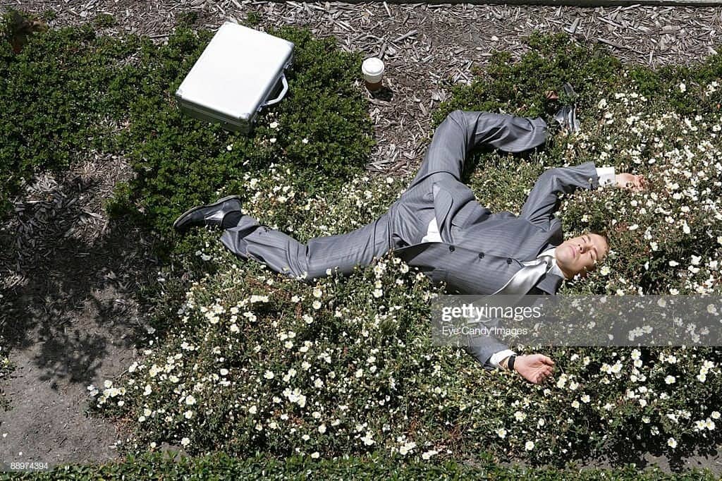 Weird stock photo of businessman lying passed out in flower bushes with briefcase and coffee