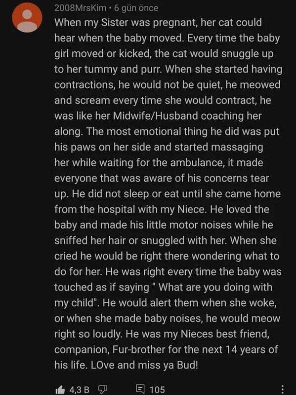 wholesome meme containing a lengthy, touching social media comment. The user describes how their sister's cat acted as a "midwife," purring when the baby kicked, screaming during contractions, and remaining the baby's devoted "fur-brother" for 14 years.