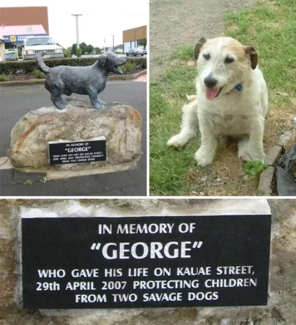 touching wholesome meme honoring George, a brave Jack Russell Terrier. The collage shows George’s statue and a memorial plaque in New Zealand, commemorating his ultimate sacrifice in 2007 when he gave his life to protect a group of children from two aggressive dogs.
