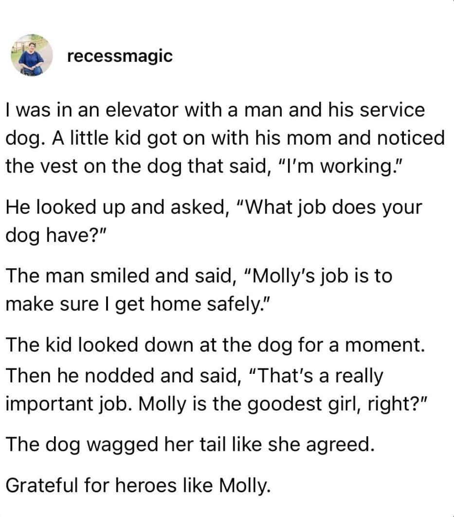 A heartwarming wholesome meme story about an encounter with a service dog named Molly. In an elevator, a young boy asks what her job is; when the owner explains she makes sure he gets home safely, the kid solemnly nods and validates her career choice by calling it a "really important job."