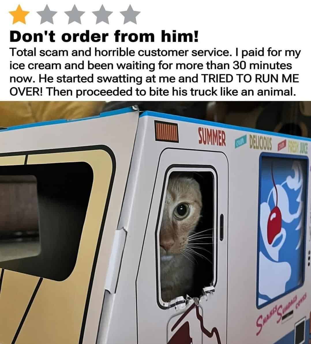 One star review of cat operating toy ice cream truck cardboard box claiming cat swatted customer and tried to run them over