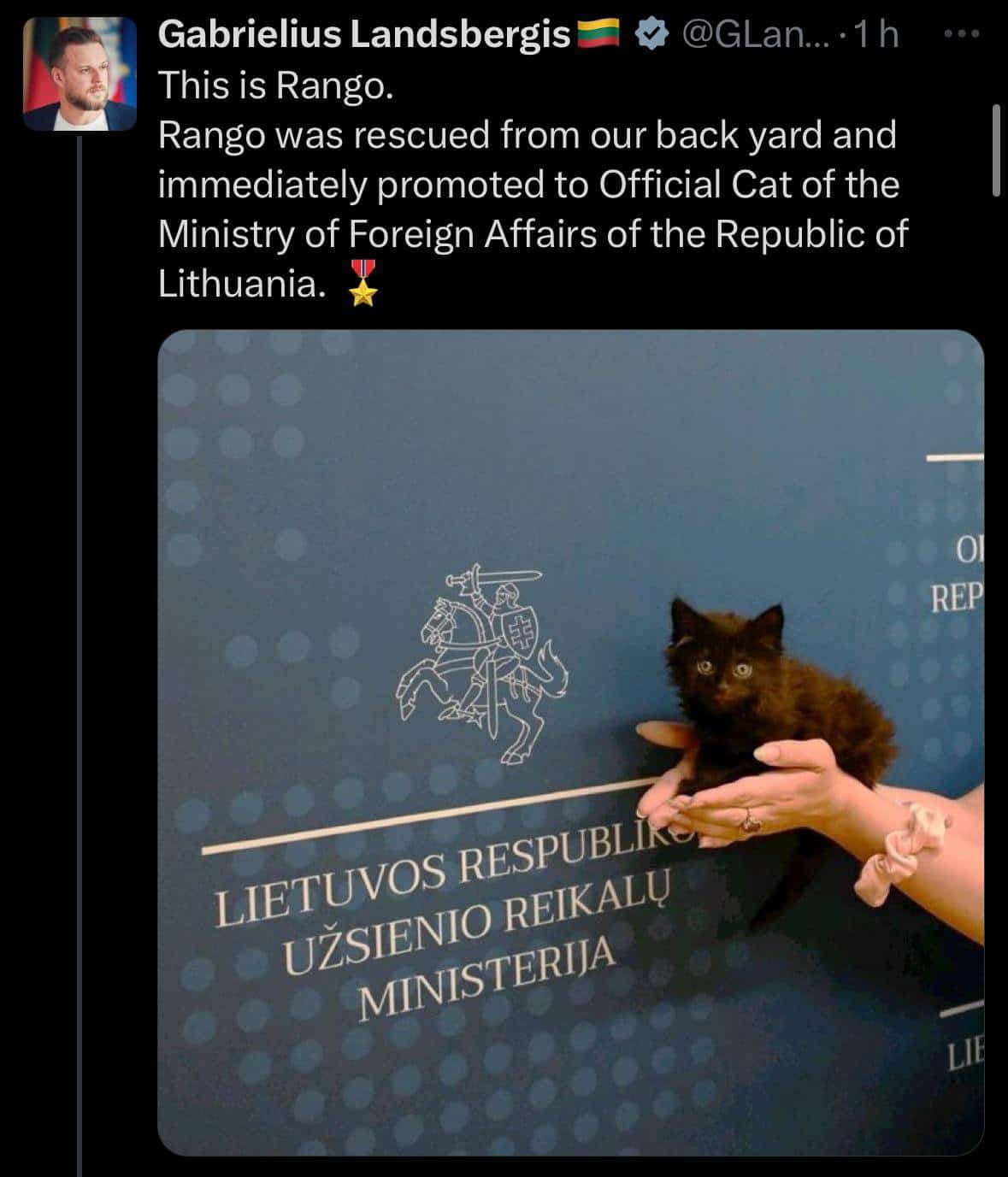 Tweet from Lithuanian Foreign Minister announcing rescued kitten Rango promoted to Official Cat of Ministry of Foreign Affairs