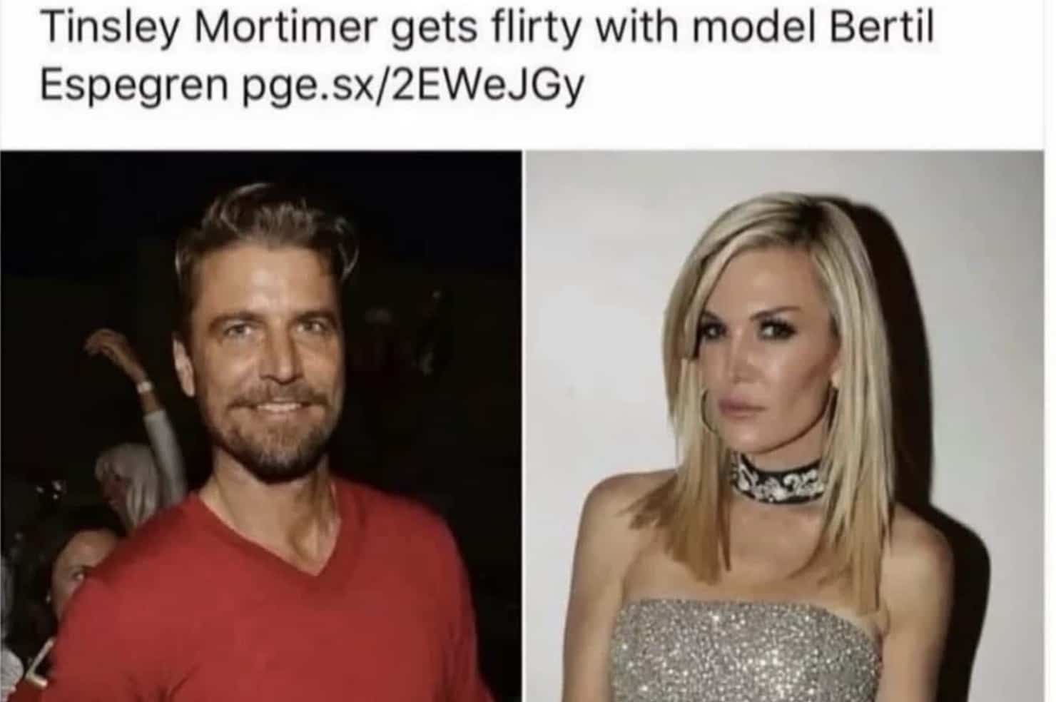 Funny meme side-by-side of Tinsley Mortimer and model Bertil Espegren highlighting their very similar facial features.