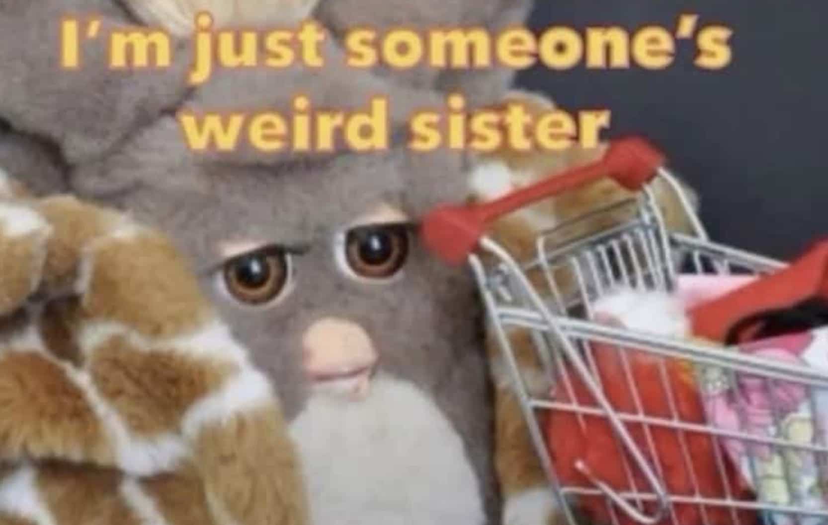 funny furby meme