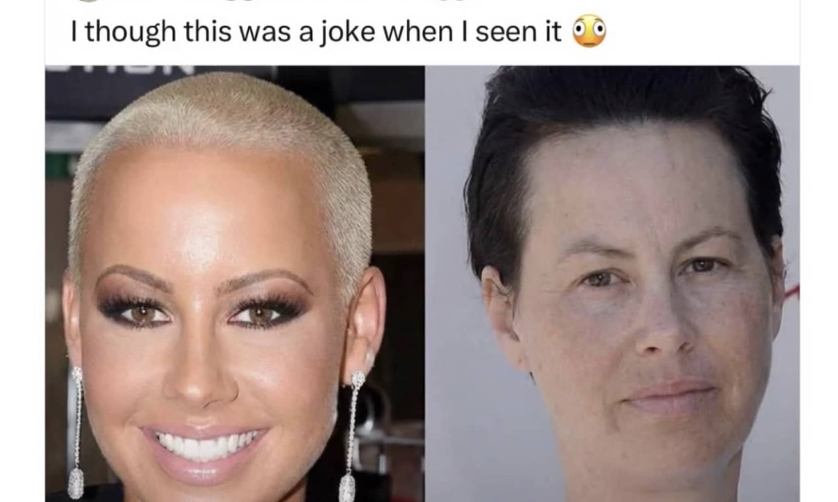 Alt Text: Side-by-side comparison meme of Amber Rose and Elon Musk showing their surprising facial similarity.