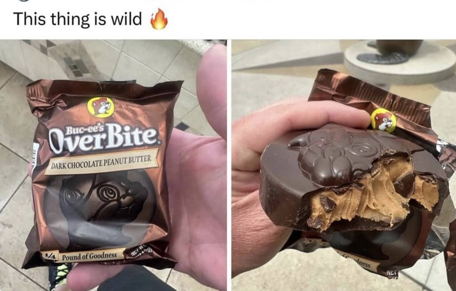 Massive Buc-ee's Overbite dark chocolate peanut butter candy bar being held and partially eaten.