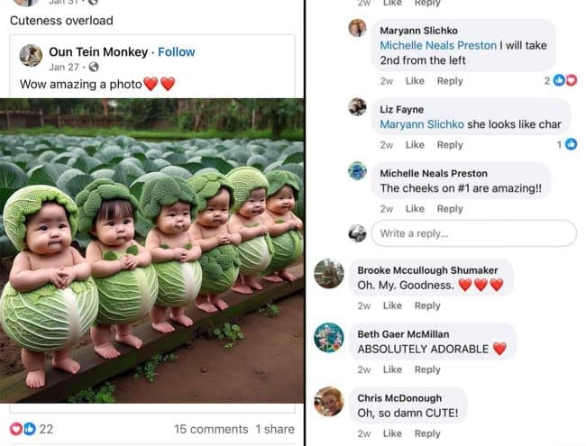 AI image of babies dressed as cabbages in a field with realistic Facebook comments.
