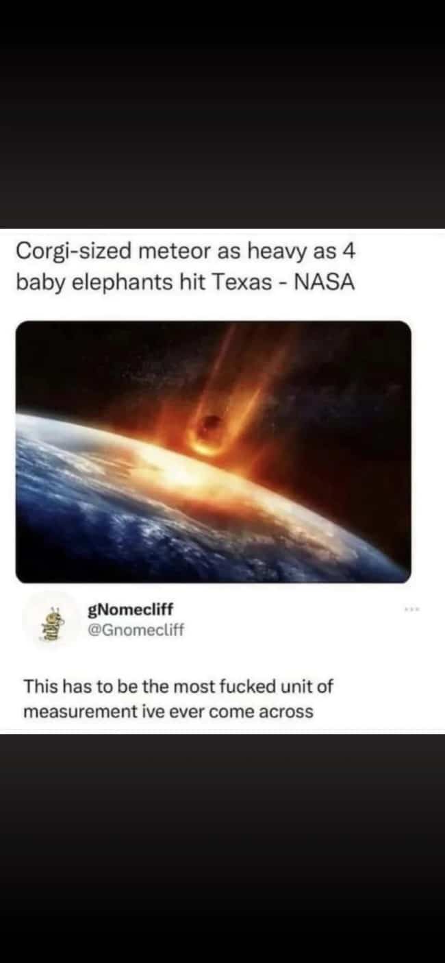 A NASA space report describing a meteor impact by combining a corgi dog and baby elephants.