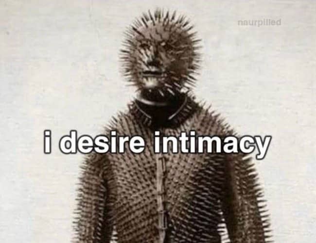 A meme with a man in thorny armor and "i desire intimacy" text.