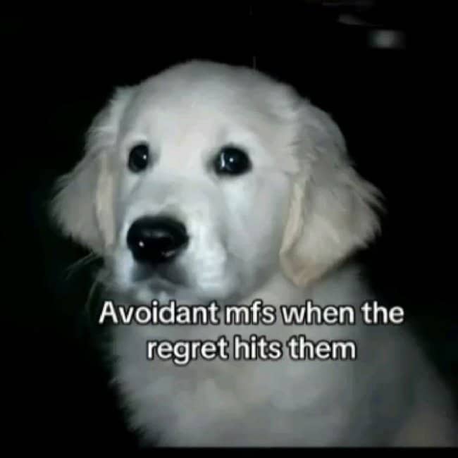 A meme with a Golden Retriever puppy and "avoidant mfs when the regret hits" text.
