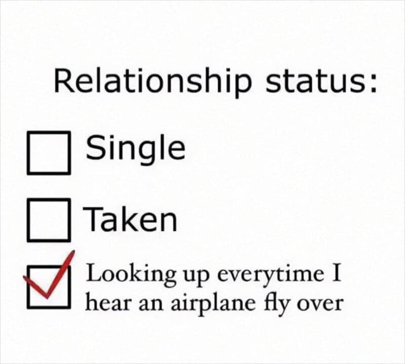 Relationship status checklist with a custom box for looking up when hearing an airplane fly over.