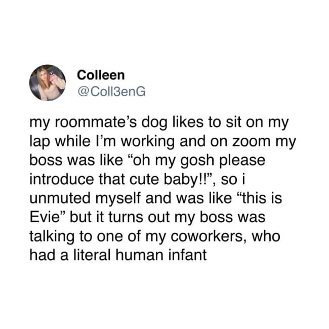 screenshot of Colleen's tweet recounting a Zoom disaster where she introduced a dog named Evie as a "cute baby" to her boss, only to realize the boss was talking to a coworker with an actual human infant.