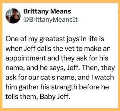A text post from Brittany Means about her partner Jeff having to summon his last bit of dignity to tell the vet his cat's name is "Baby Jeff," resulting in a peak awkward moments scenario.