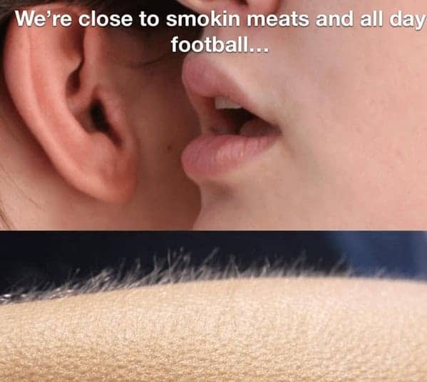 A viral two-panel whisper reaction template serves as an elite inclusion in grilling memes, showing a close-up of a woman's lips whispering about the approach of smoked meats and all-day autumn football, causing the person's arm hair to break into intense goosebumps.