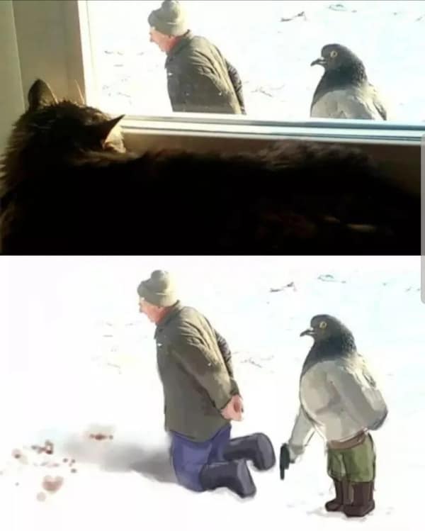 A two-panel blursed image captures a household pet cat looking out a window at a man and a pigeon standing in the winter snow, followed by a dramatic illustration depicting the pigeon with cartoon arms holding the man hostage at gunpoint.