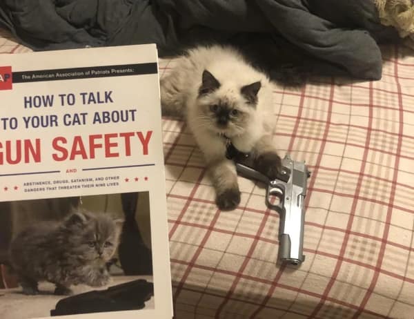 A fluffy white Siamese cat resting on a bed blanket places its front paw directly over a real silver semi-automatic pistol next to a satirical book layout titled "How to Talk to Your Cat About Gun Safety," serving as an elite blursed image.