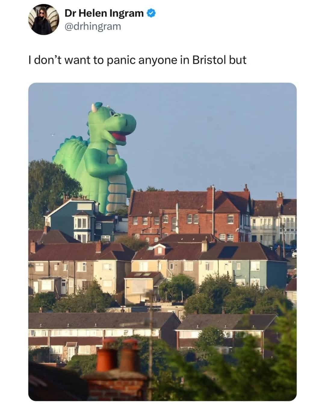 A striking photo of a gargantuan green dinosaur hot air balloon looming over a suburban Bristol neighborhood, captioned by Dr. Helen Ingram as a potential (and adorable) reason for panic.