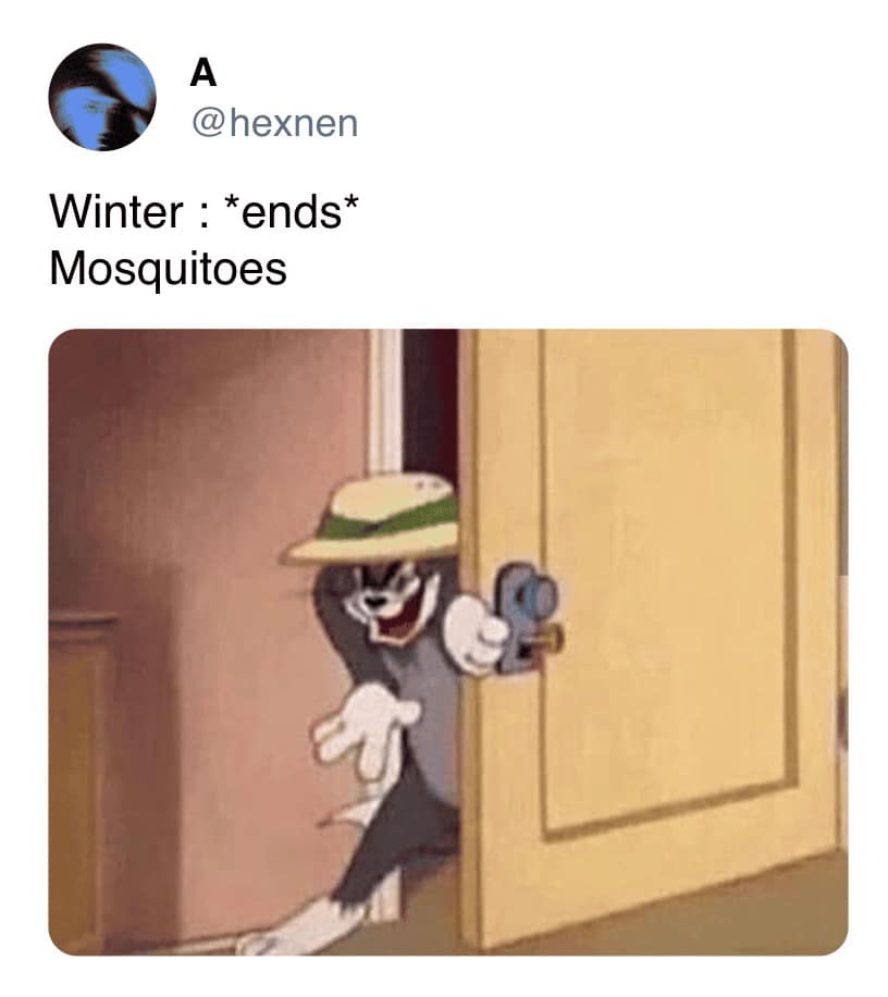 Tom the cat from Tom and Jerry sneaks into a room with a mischievous grin to represent mosquitoes emerging the moment winter ends in this relatable bug meme.