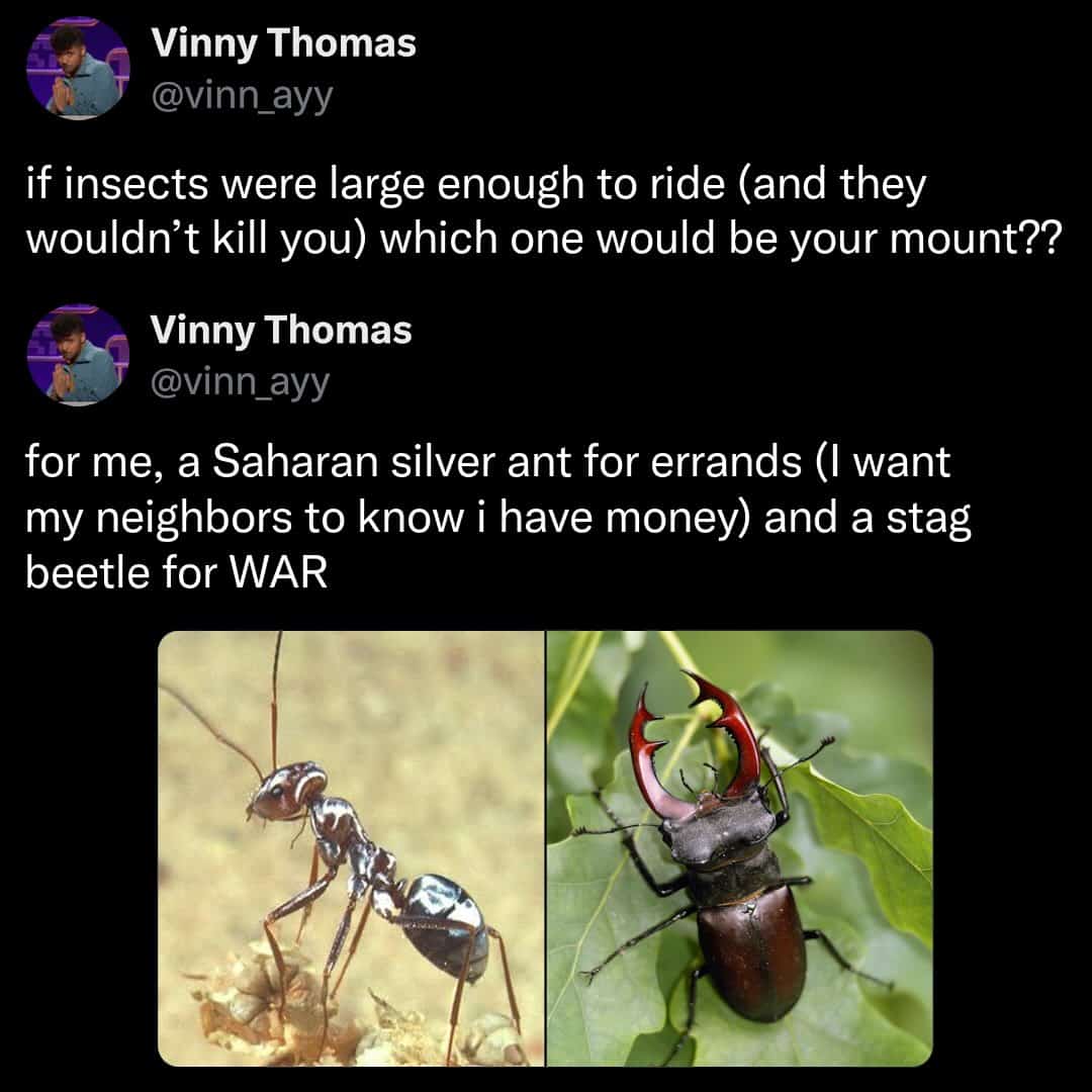 A discussion about riding giant insects features a Saharan silver ant and a stag beetle as preferred mounts in this imaginative insect meme.