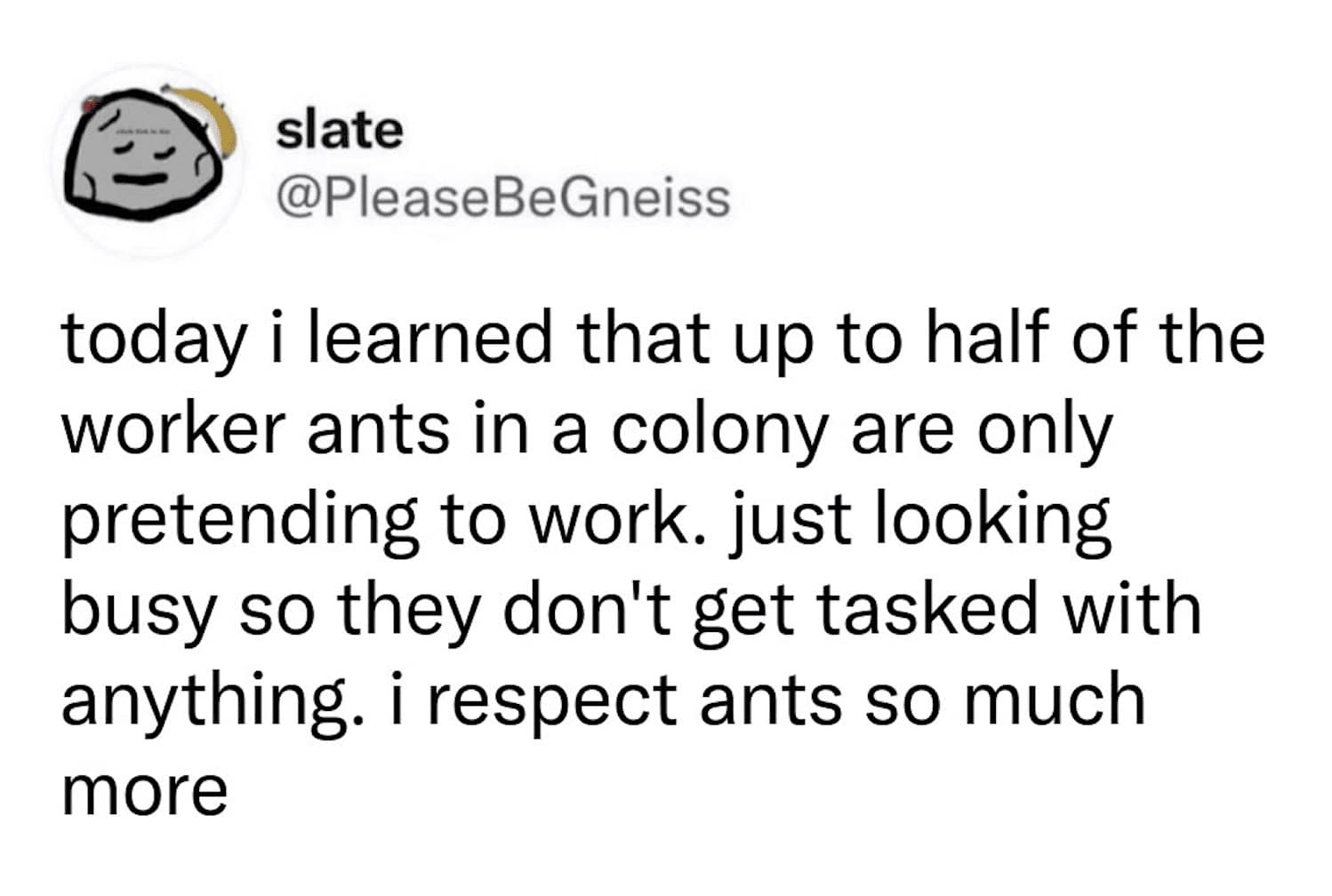 A text post expressing newfound respect for worker ants that only pretend to look busy contributes to the relatable corporate energy of this bug meme.