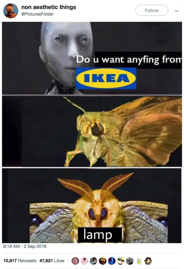 A surreal moth meme depicts an insect demanding a lamp from IKEA, referencing one of the most famous tropes in the bug meme subculture.