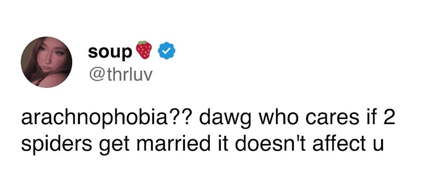 humorous tweet from 'soup' that redefines arachnophobia as the fear of two spiders getting married, a clever wordplay entry in the bug meme genre.