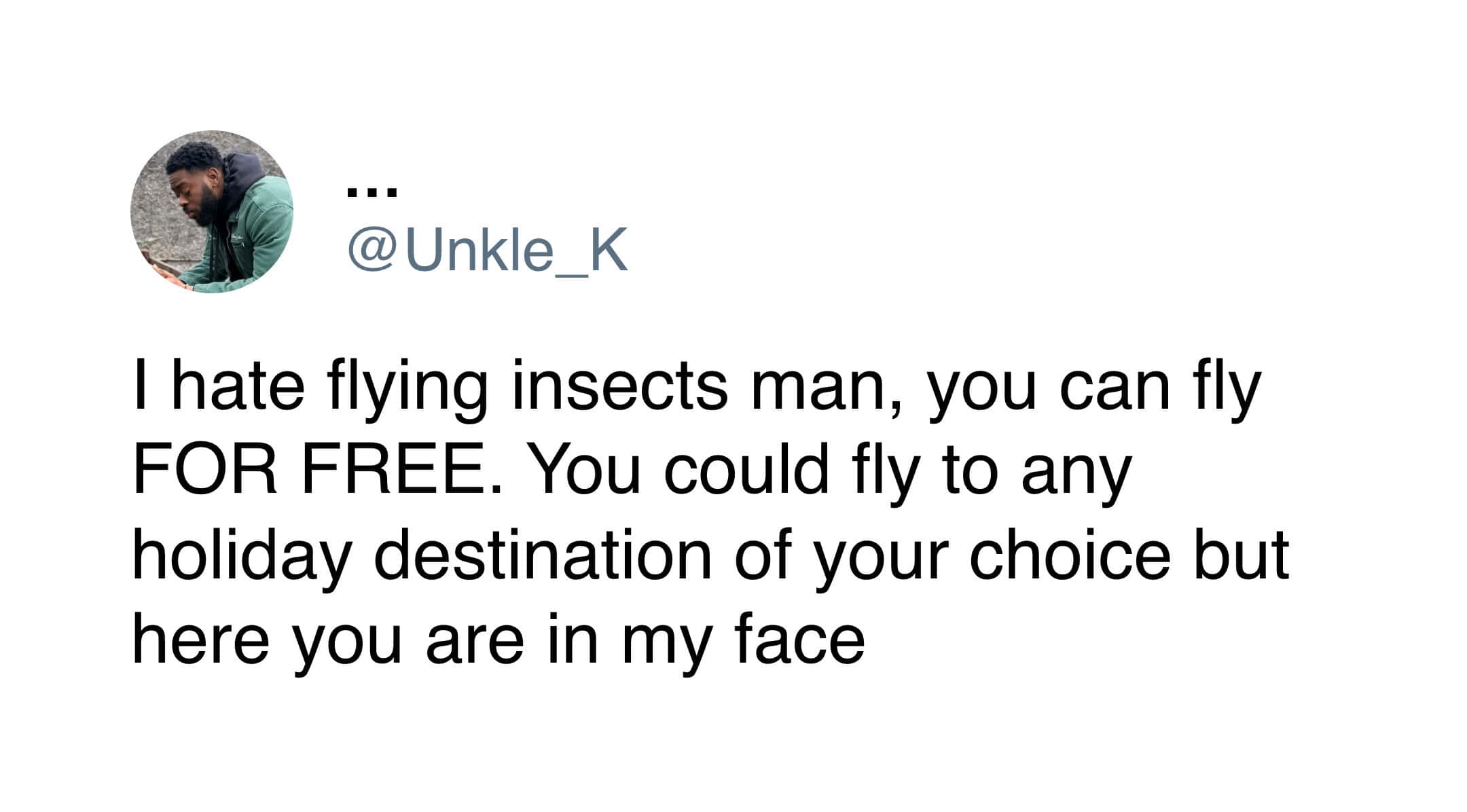 A text post from '@Unkle_K' questioning why flying insects choose to stay in a human's face when they could literally fly anywhere on earth for free in this insect meme.