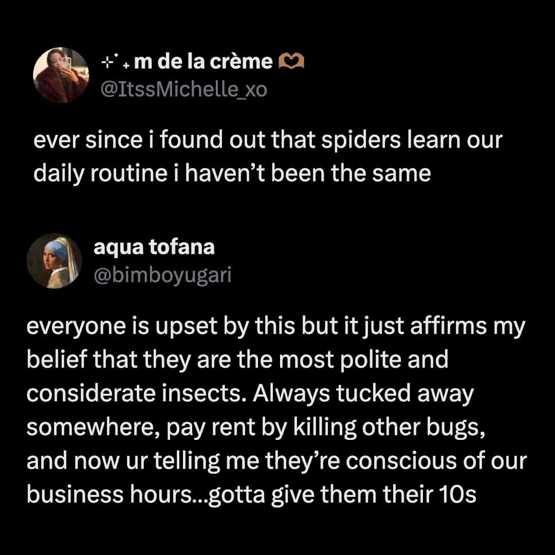 A screenshot of a thread discussing the terrifying yet polite fact that spiders learn human routines, giving a "considerate" spin to this house-dwelling bug meme.