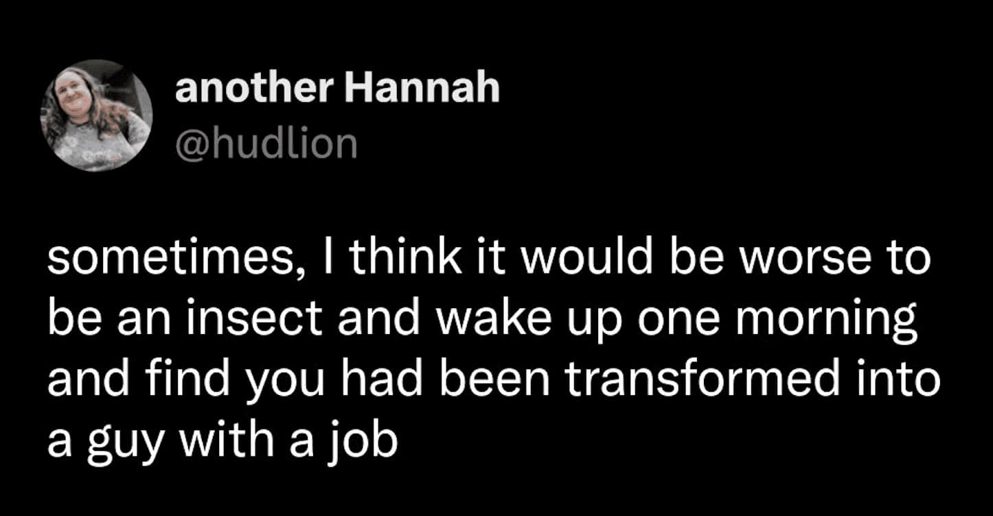 A satirical text post from 'another Hannah' suggesting it would be worse for an insect to wake up as a human with a job, a reverse-Kafka bug meme.