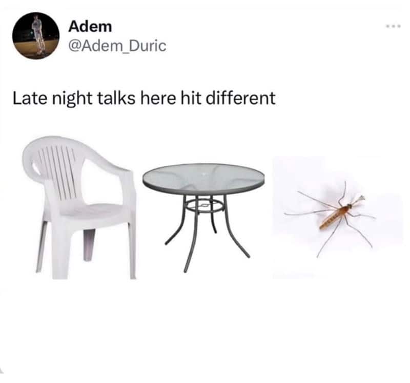 A collage image featuring a plastic lawn chair, a glass table, and a giant mosquito to represent where deep late-night talks happen in this relatable insect meme.