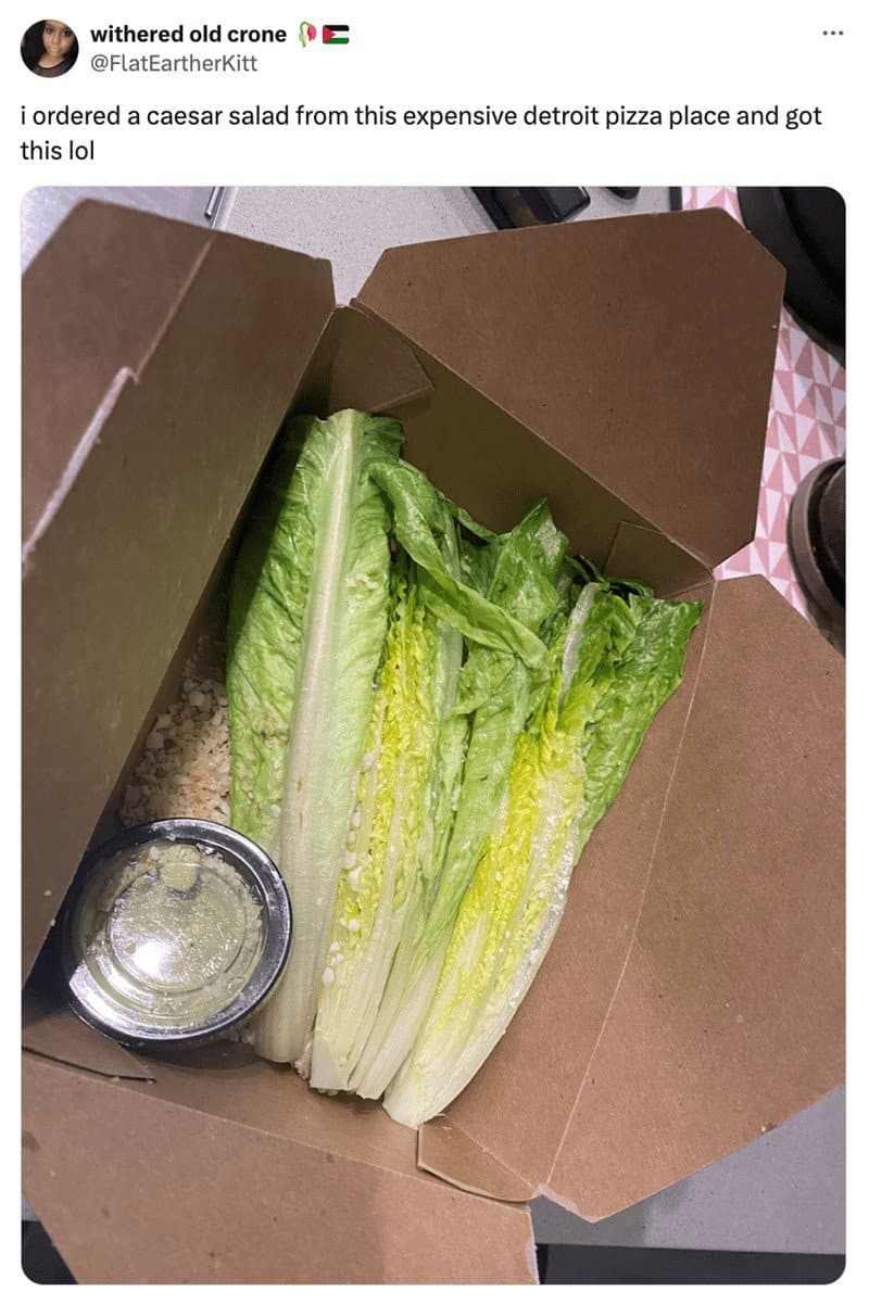A disappointing takeout box from Detroit containing three whole unchopped lettuce leaves serves as a viral caesar salad meme.