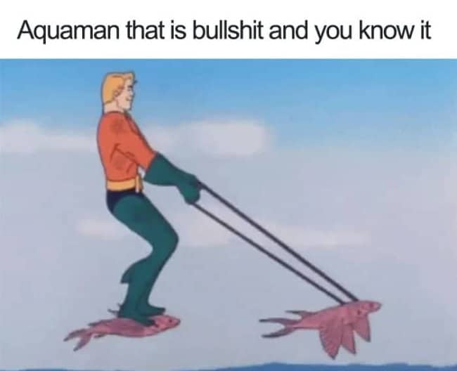A frame from an old Aquaman cartoon shows the superhero with orange shirt and green tights, standing on top of two large purple fish like a surfboard. Text says: "Aquaman that is bullshit and you know it".