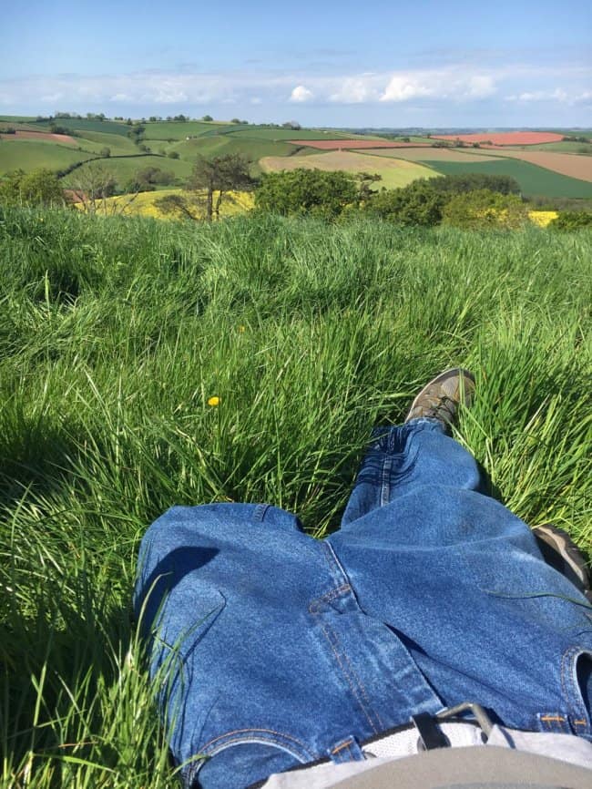 A serene rural chill spot for dudes showing a first-person perspective of lying in thick, tall grass on a sunny hillside overlooking rolling green pastures and farmland under a bright blue sky.