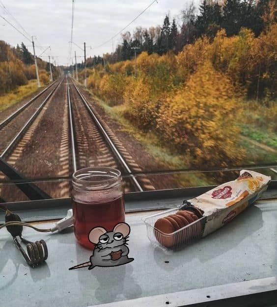 A cozy, lo-fi chill spot for dudes on a long-distance train, showing a jar of tea and a pack of biscuits on the window sill as autumn forests fly by outside.