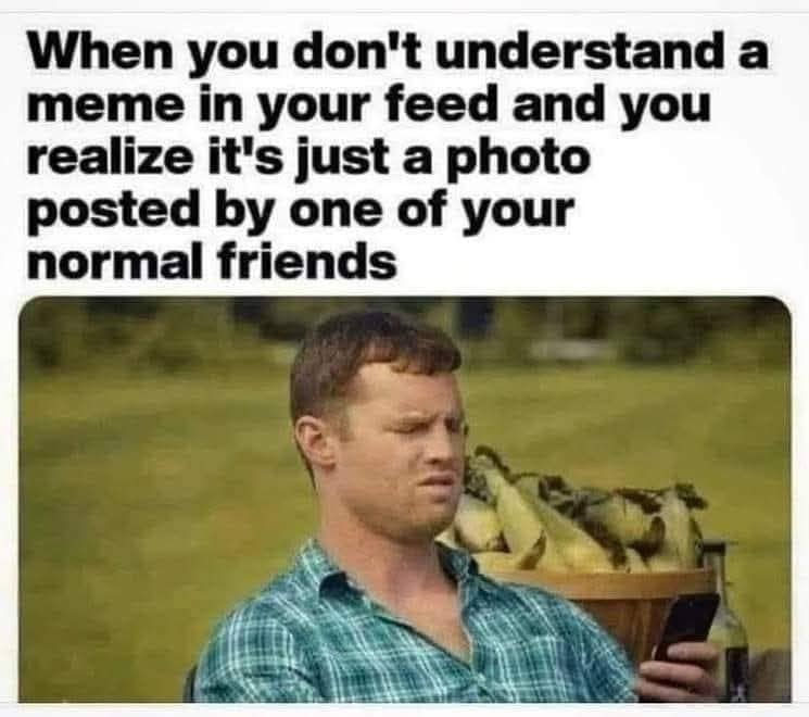 A reaction image featuring Wayne from Letterkenny squinting at his smartphone in absolute confusion forms a highly accurate classic meme about failing to understand a post, only to realize it's just an un-edited photo from a normal friend.
