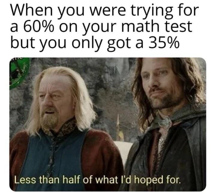 King Théoden and Aragorn from The Lord of the Rings look disappointed beneath text comparing an underwhelming math test score to the classic movie quote "Less than half of what I'd hoped for," forming a relatable classic meme.