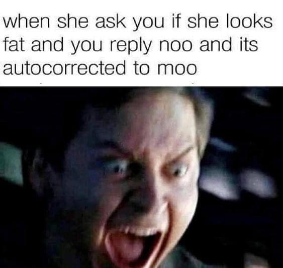 A classic meme showing Tobey Maguire’s Peter Parker from Spider-Man in a state of emotional agony, screaming with his eyes wide. The text describes the ultimate social disaster: replying "noo" to a girl asking if she looks fat, only for it to autocorrect to "moo."