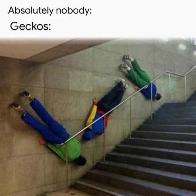 Three acrobats performing a gravity-defying horizontal wall-running stall over a concrete staircase handrail serve as a hilarious visual punchline for a classic meme comparing their posture to geckos.