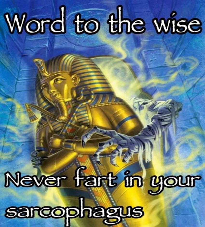 A vibrant, airbrushed fantasy illustration of King Tutankhamun's golden sarcophagus features stylized text reading "Word to the wise: Never fart in your sarcophagus," making a popular absurd classic meme.