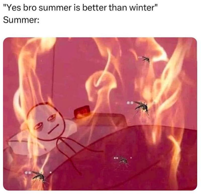 An aggressive seasonal macro operates as a relatable classic meme depicting a stick figure sweating in bed surrounded by raging flames and giant blood-sucking mosquitoes under the ironic title, "'Yes bro summer is better than winter' Summer:".