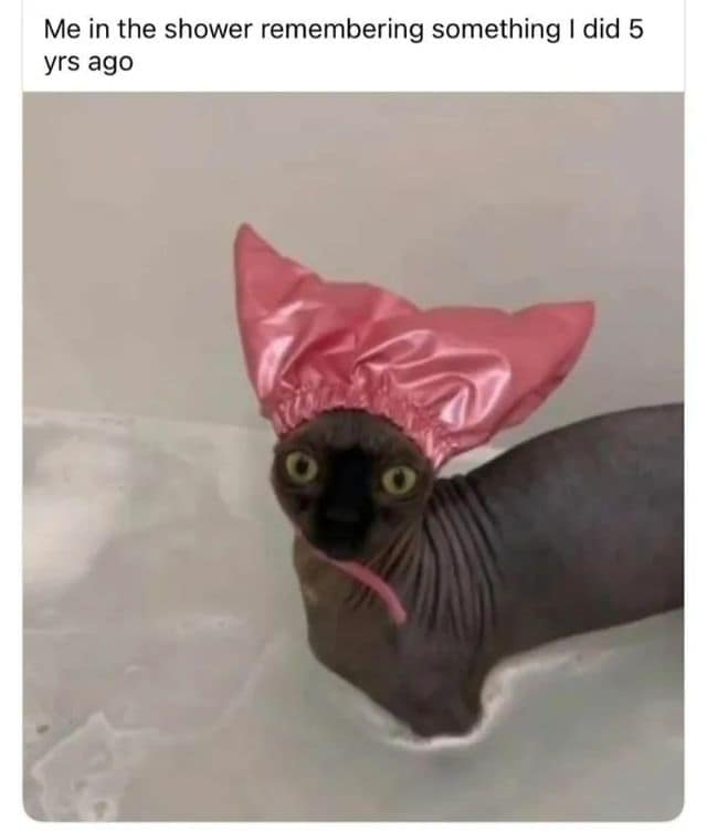 A relatable old meme showing a wide-eyed hairless Sphynx cat wearing a pink shower cap while sitting in a bathtub, captioned to represent the sudden, crushing memory of an embarrassing event from five years ago while in the shower.
