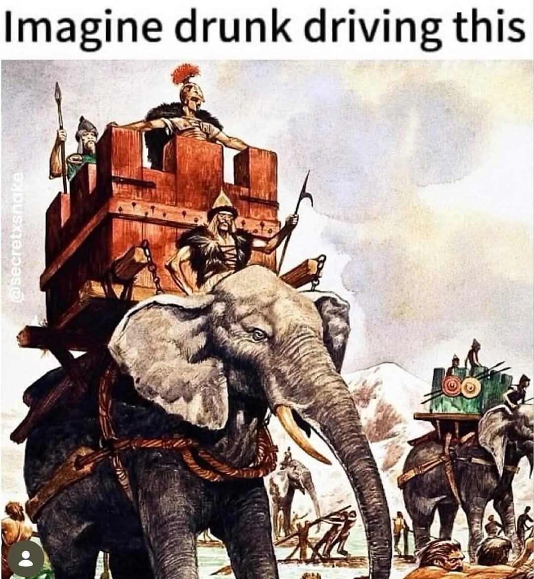 Ancient war elephants carrying heavy wooden fortress towers into a historical battle zone are showcased in a humorous old memes entry asking readers to imagine navigating one while heavily intoxicated.
