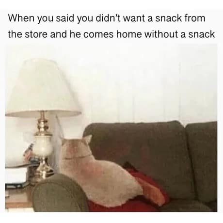 A classic meme featuring a cat sitting on a couch with its back turned defensively to the camera, used to represent the silent fury of a partner who said they didn't want a snack but is mad you actually came home without one.